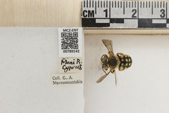 Media type: image;   Entomology 789142 Aspect: Labels